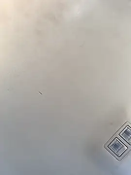 Snapshot of Tristris100 chatting on 12/23/24, 08:14 Tristris100 online show from 12/23/24, 08:14