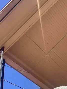 Snapshot of Tristris100 chatting on 02/24/25, 08:03 Tristris100 online show from 02/24/25, 08:03