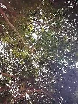 Brenda Berck  online show from 04/05/26, 12:56