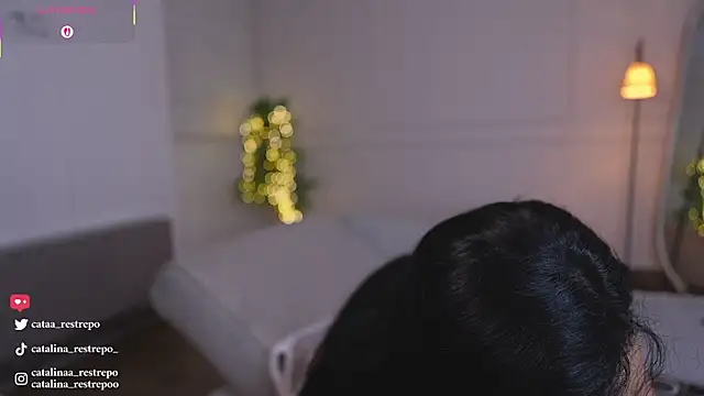 Snapshot of CATALINA_RESTREPO chatting on 02/22/26, 01:41 CATALINA RESTREPO online show from 02/22/26, 01:41