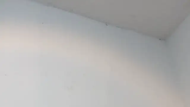 dalilasquirt1 online show from 02/11/26, 07:47