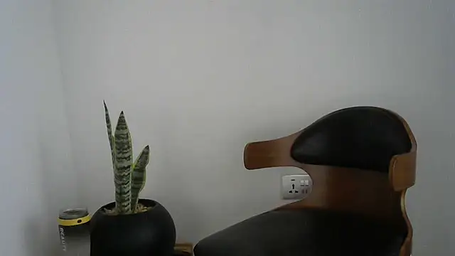 missytrig online show from 02/22/26, 04:26