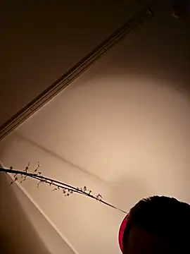 NiceHunter89 online show from 02/18/25, 05:20