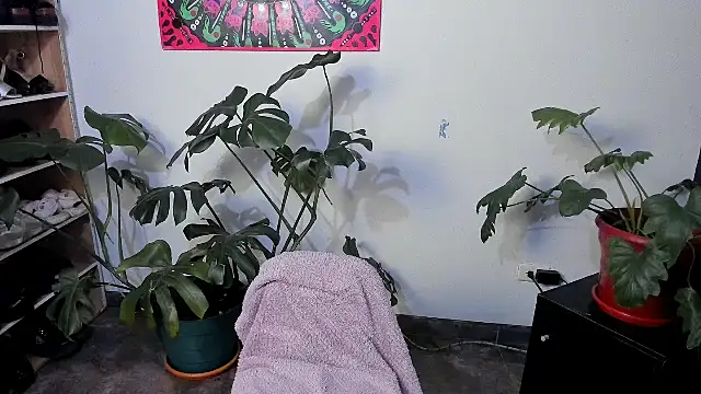 handipandapok online show from 03/17/25, 09:24