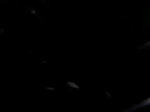 Snapshot of giga-bite chatting on 10/10/25, 03:46 giga-bite online show from 10/10/25, 03:46