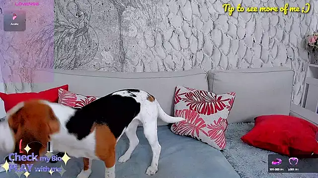  MarryGirl  online show from 01/10/25, 05:15