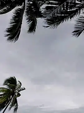 Luna-Natural online show from 11/29/25, 05:24