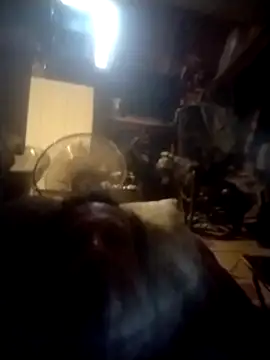 trucker1979 online show from 09/27/25, 10:54