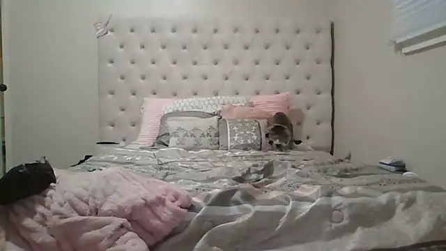 beautylovess online show from 12/13/25, 08:04