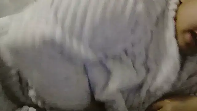 Snapshot of beautylovess chatting on 04/04/26, 06:53 beautylovess online show from 04/04/26, 06:53