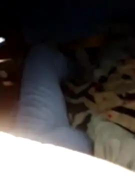 Snapshot of Pavlosss chatting on 02/27/26, 08:19 Pavlosss online show from 02/27/26, 08:19