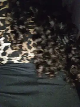 blerstefan1 online show from 11/03/25, 04:28