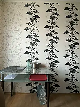 Snapshot of LORA_x chatting on 03/07/25, 02:34 LORA x online show from 03/07/25, 02:34