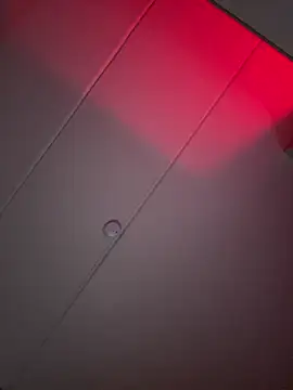 Amanita Bloom online show from 01/16/26, 04:16