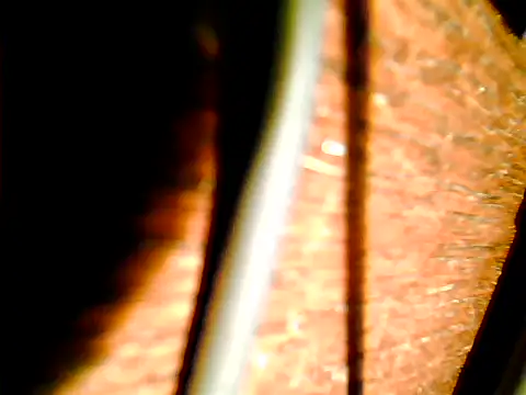 Snapshot of johnjohn622662 chatting on 11/12/25, 04:22 johnjohn622662 online show from 11/12/25, 04:22