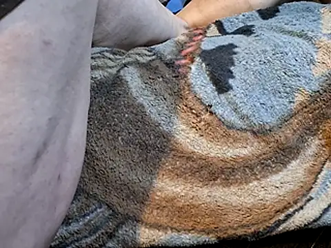 Snapshot of bobbybullit chatting on 11/20/25, 06:58 bobbybullit online show from 11/20/25, 06:58