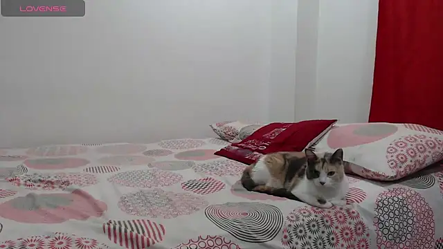 Aroon Stonne online show from 06/05/26, 04:17