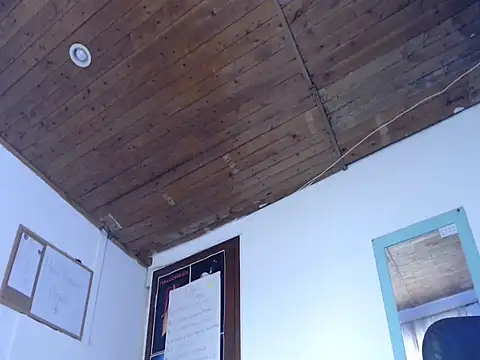 alisterxxx online show from 03/25/26, 02:38