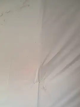 Ebony nasty girl online show from 02/13/26, 07:30