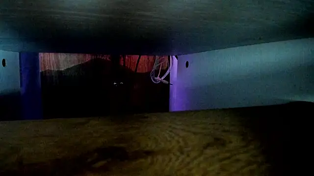 any sophia online show from 04/08/26, 06:31