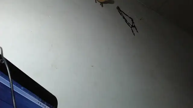 adrixxx38 online show from 03/05/26, 12:18