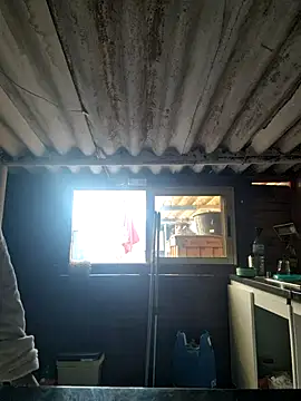 mila38 online show from 11/18/25, 09:56