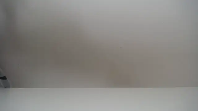 Snapshot of salomecastro_ chatting on 11/19/25, 06:30 salomecastro online show from 11/19/25, 06:30