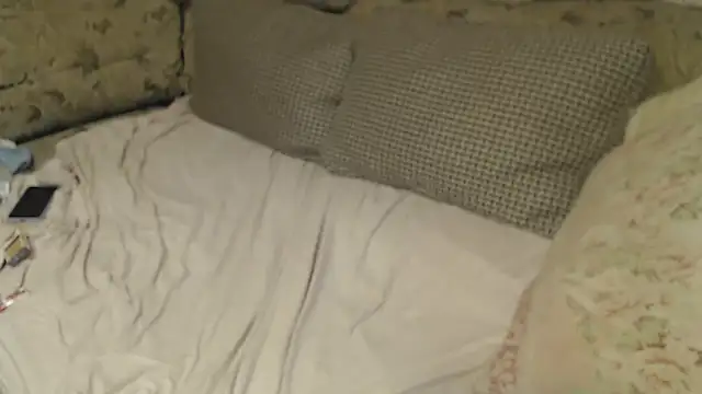 FancyLily online show from 11/01/25, 11:59