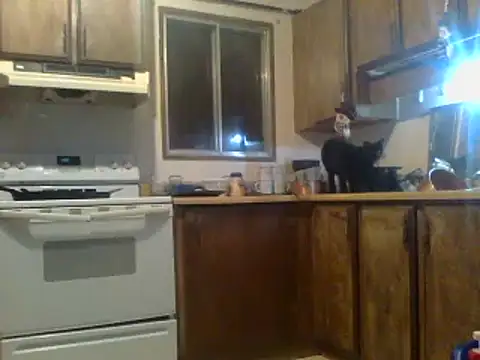 Ryoko Momoko online show from 01/28/25, 07:22