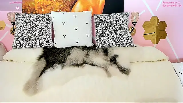 Maryelle online show from 01/31/26, 07:45