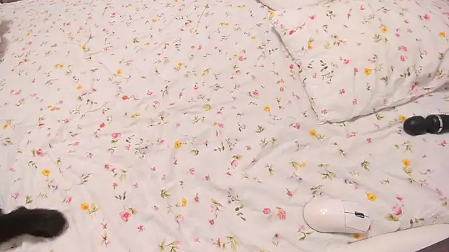 Snapshot of Eziliz chatting on 09/12/25, 06:18 Eziliz online show from 09/12/25, 06:18