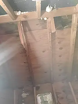 Snapshot of MaddyC6992 chatting on 12/26/24, 12:49 MaddyC6992 online show from 12/26/24, 12:49