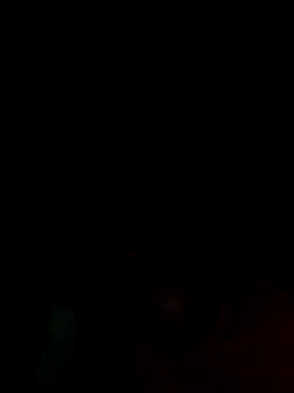 Creamesensation online show from 10/12/25, 08:59