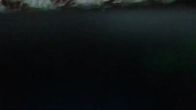 Leo Big online show from 09/23/25, 11:23