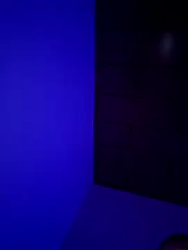 Pavelbure77 online show from 02/15/26, 12:44