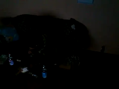 Snapshot of ZDRAVKICH chatting on 12/23/24, 04:12 ZDRAVKICH online show from 12/23/24, 04:12