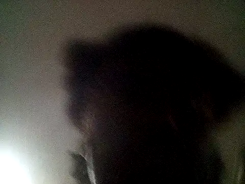 blasphemous online show from 02/07/25, 09:47
