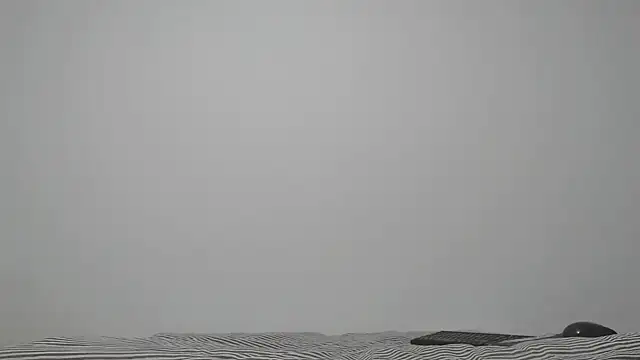 ABIGGAILL online show from 05/19/26, 08:43