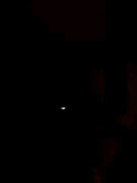 tropikboy online show from 11/07/25, 09:58