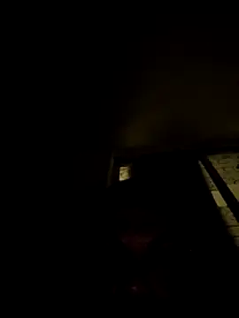 tropikboy online show from 11/08/25, 12:47