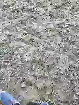 mister-dwt online show from 03/05/25, 09:38