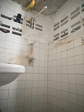 Carrington- online show from 03/03/26, 05:42