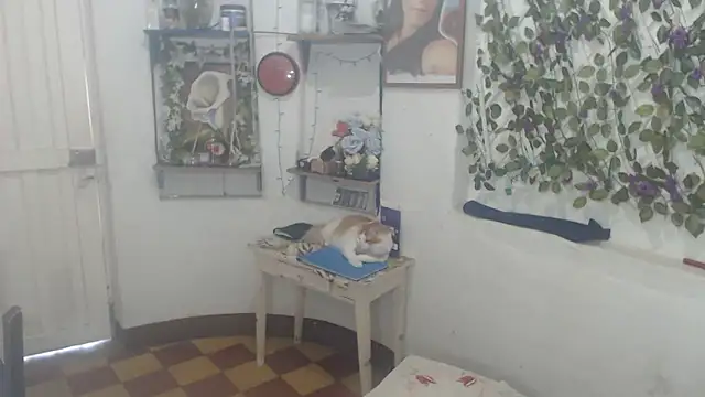 FunnyGrandma online show from 02/11/26, 09:58