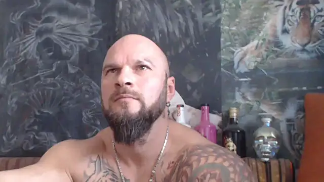 viking 30 online show from 11/06/25, 08:29