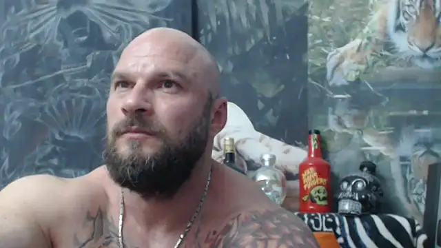 viking 30 online show from 06/11/26, 05:54