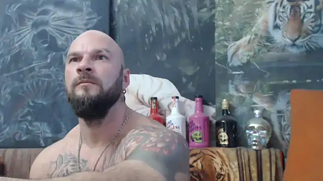 viking 30 online show from 10/04/25, 02:51