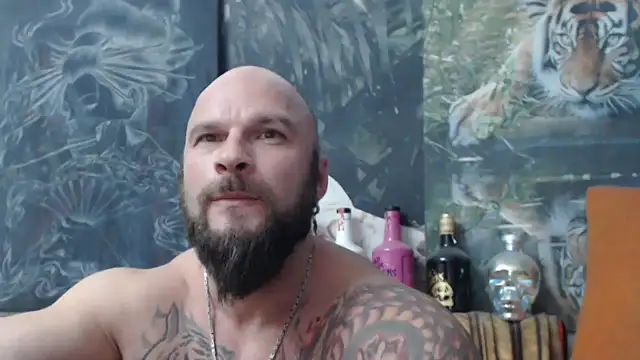 viking 30 online show from 11/03/25, 07:50