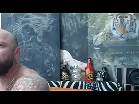 viking 30 online show from 04/12/26, 06:33