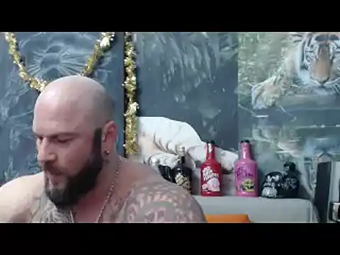 viking 30 online show from 02/11/26, 07:47