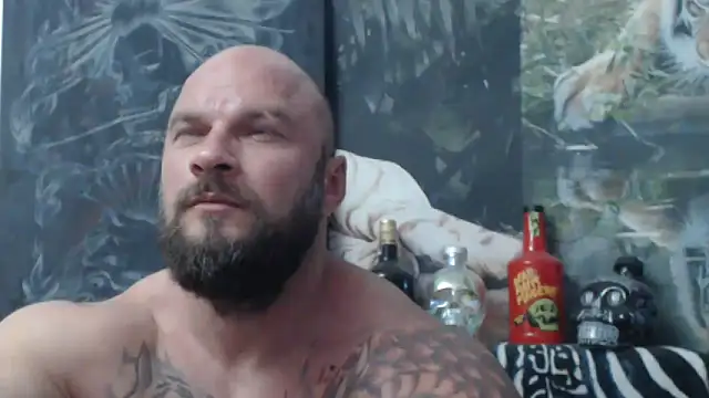 viking 30 online show from 06/16/26, 06:08